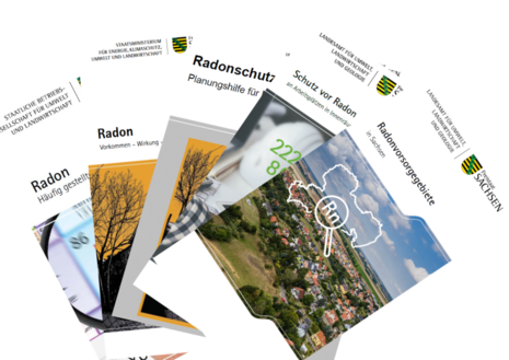 Darstellung der aufgefächerten Publikationen zum Thema Radon